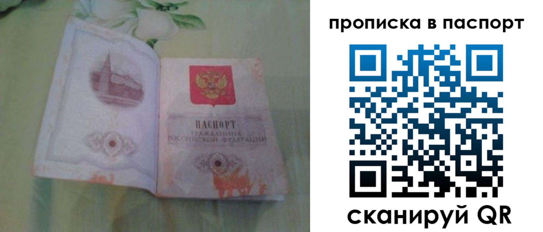 прописка для школы в Элисте